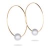 Biltmore Hoop Earrings