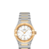 OMEGA Co-Axial Master Chronometer 29 mm O13120292005002