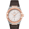 OMEGA Co-Axial Master Chronometer 39 mm O13123392052001