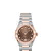 OMEGA Co-Axial Master Chronometer 29 mm O13125292063001