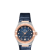 OMEGA Co-Axial Master Chronometer 29 mm O13123292099003