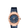 OMEGA Co-Axial Master Chronometer 29 mm O13153292099001