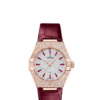 OMEGA Co-Axial Master Chronometer 29 mm O13158292099001