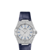 OMEGA Co-Axial Master Chronometer 29 mm O13158292099003