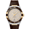 OMEGA Co-Axial Master Chronometer 41 mm O13123412106002