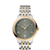OMEGA Co-Axial Master Chronometer 34 mm O43420342010001