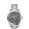 OMEGA Co-Axial Master Chronometer 34 mm O22010342057001