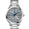 OMEGA Co-Axial Master Chronometer 41 mm O22010412106001