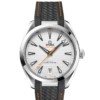 OMEGA Co-Axial Master Chronometer 41 mm O22012412102002