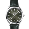OMEGA Co-Axial Master Chronometer 41 mm O22013412110001