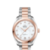 OMEGA Co-Axial Master Chronometer 34 mm O22020342055001