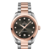OMEGA Co-Axial Master Chronometer Ladies' 38 mm O22020382056001