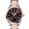 OMEGA Co-Axial Master Chronometer 41 mm O22020412106001