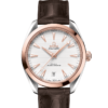 OMEGA Co-Axial Master Chronometer 41 mm O22023412102001