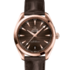 OMEGA Co-Axial Master Chronometer 41 mm O22053412113001