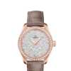 OMEGA Co-Axial Master Chronometer 34 mm O22058342099003