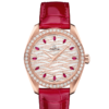 OMEGA Co-Axial Master Chronometer Ladies' 38 mm O22058382099004
