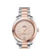 OMEGA Co-Axial Master Chronometer 34 mm O22020342059001