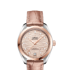 OMEGA Co-Axial Master Chronometer 34 mm O22023342059001