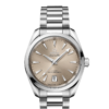 OMEGA Co-Axial Master Chronometer 38 mm O22010382009001