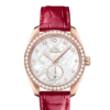 OMEGA Co-Axial Master Chronometer Small Seconds 38 mm O22058382055002