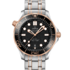 OMEGA Co-Axial Master Chronometer 42 mm O21020422001001