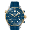OMEGA Co-Axial Master Chronometer Chronograph 44 mm O21022445103001
