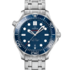 Diver 300MCO‑Axial Master Chronometer 42 MM