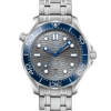 Diver 300MCO‑Axial Master Chronometer 42 MM
