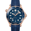 OMEGA Co-Axial Master Chronometer 42 mm O21062422003001