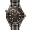 OMEGA Co-Axial Master Chronometer 42 mm O21092422001001
