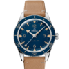 OMEGA Co-Axial Master Chronometer 41 mm O23432412103001